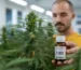 Filho de Caco Ciocler se muda do Brasil para o Canadá para cultivar cannabis e defende direitos dos jardineiros